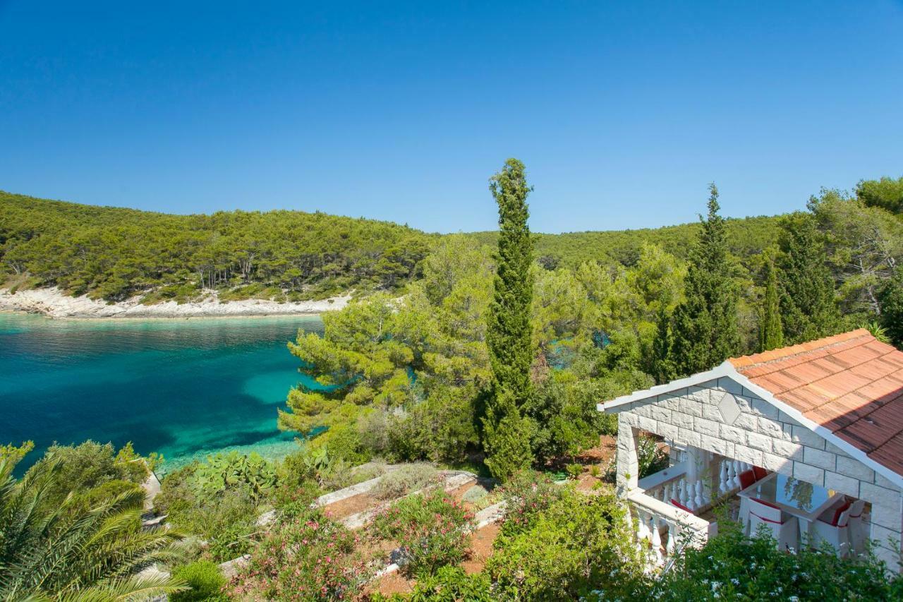 Waterfront Villa With Pool Vela Luka Exteriér fotografie