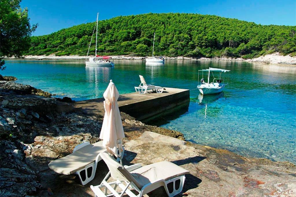 Waterfront Villa With Pool Vela Luka Exteriér fotografie