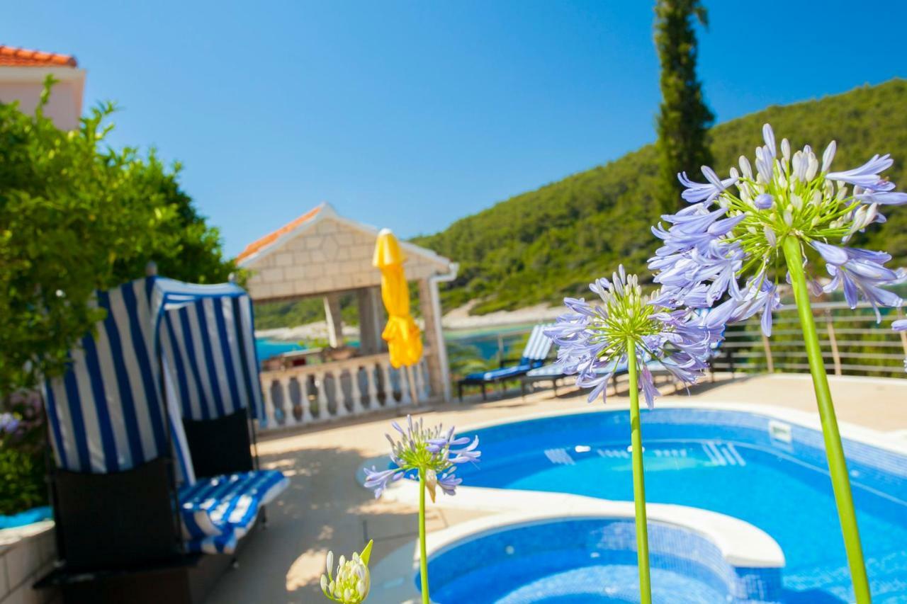 Waterfront Villa With Pool Vela Luka Exteriér fotografie