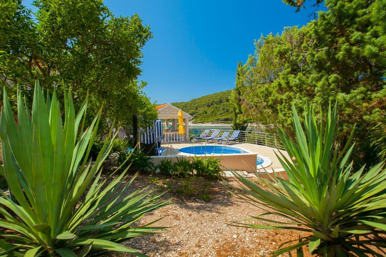 Waterfront Villa With Pool Vela Luka Exteriér fotografie